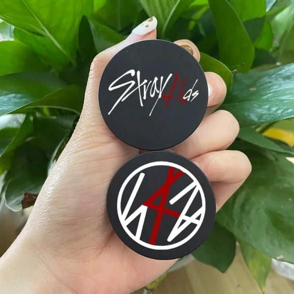Stray Kids logo and album badge, featuring black, white, and red design elements, held by a hand against green plant background.