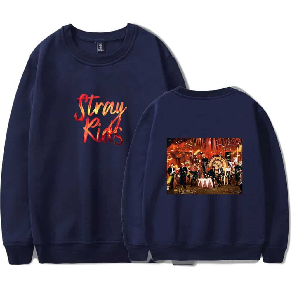 Stray Kids concert sweatshirt with band photo on the back and logo on the front.